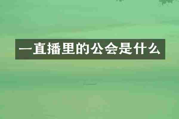 一直播里的公会是什么