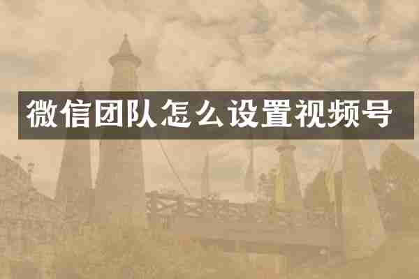 微信团队怎么设置视频号