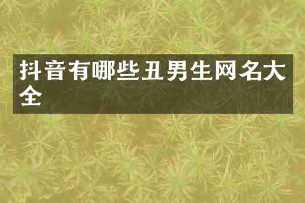 抖音有哪些丑男生网名大全