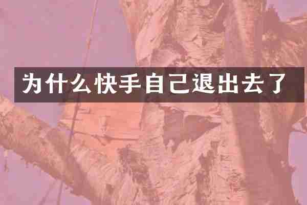 为什么快手自己退出去了