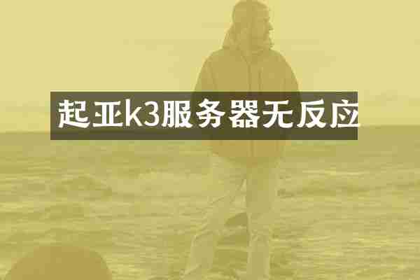 起亚k3服务器无反应
