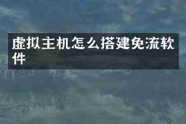 虚拟主机怎么搭建免流软件