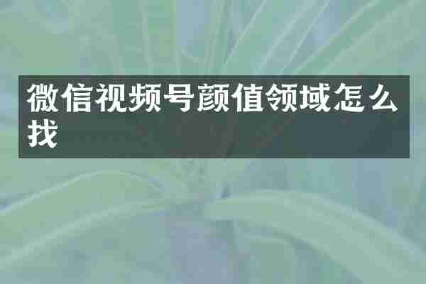 微信视频号颜值领域怎么找