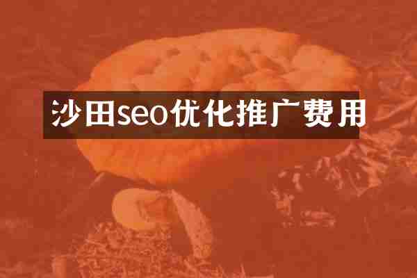 沙田seo优化推广费用
