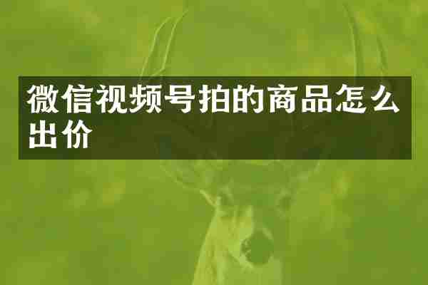 微信视频号拍的商品怎么出价