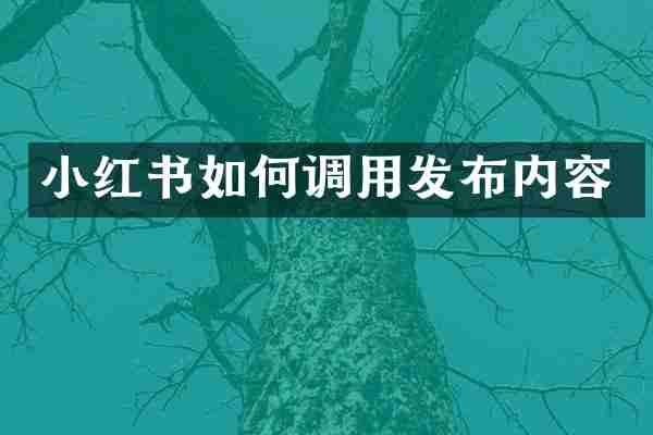小红书如何调用发布内容
