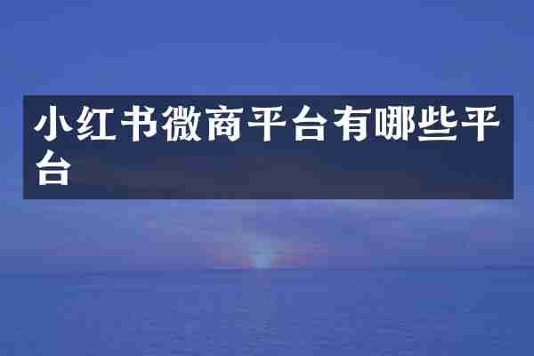 小红书微商平台有哪些平台