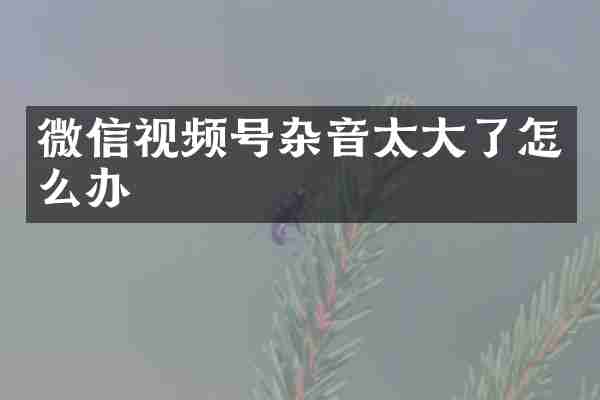 微信视频号杂音太大了怎么办