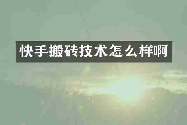 快手搬砖技术怎么样啊