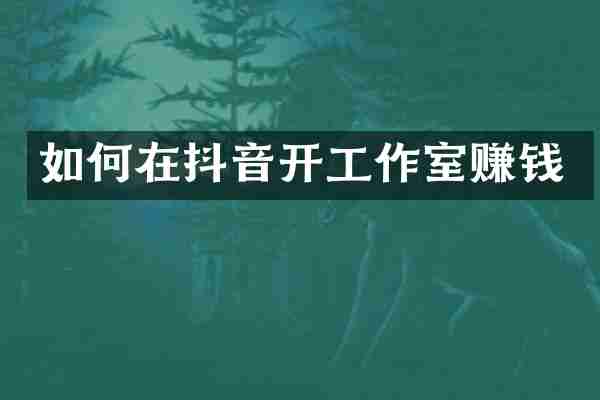 如何在抖音开工作室赚钱