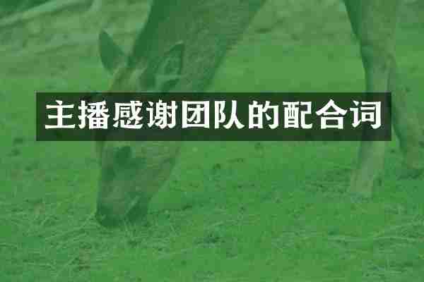 主播感谢团队的配合词