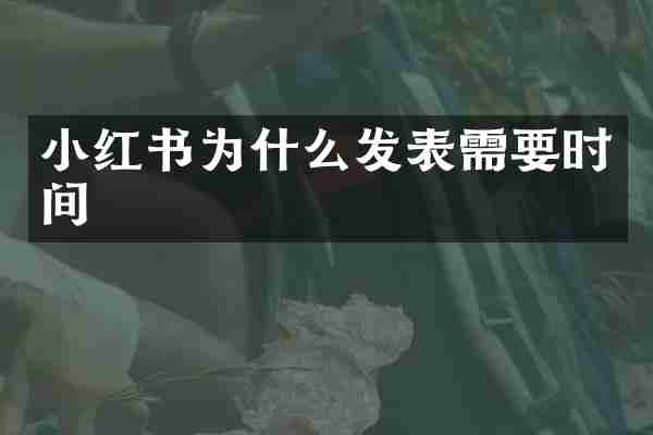 小红书为什么发表需要时间