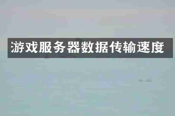 游戏服务器数据传输速度