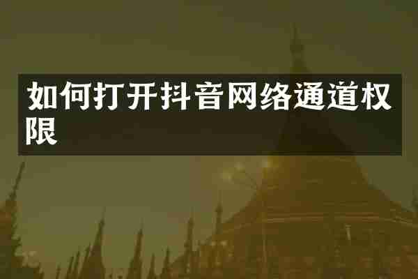 如何打开抖音网络通道权限