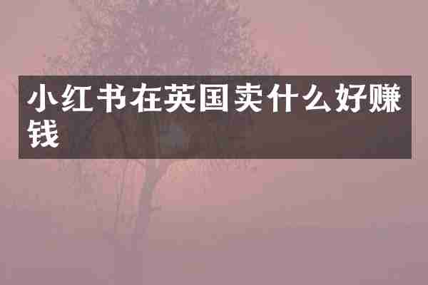 小红书在英国卖什么好赚钱