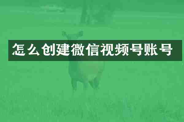 怎么创建微信视频号账号