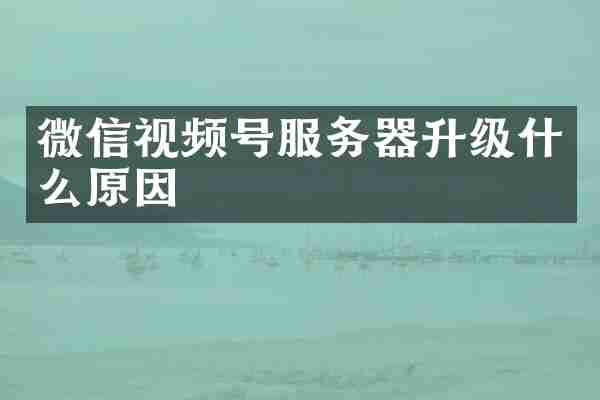 微信视频号服务器升级什么原因
