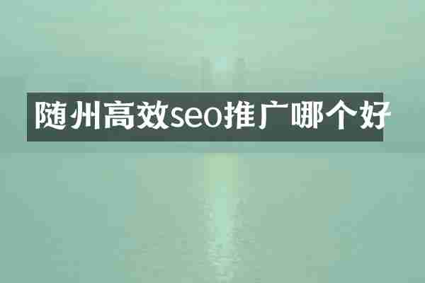 随州高效seo推广哪个好