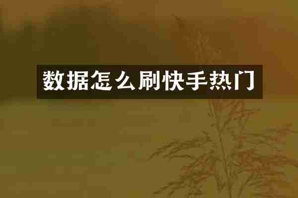 数据怎么刷快手热门