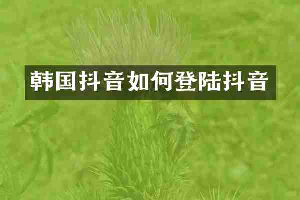 韩国抖音如何登陆抖音