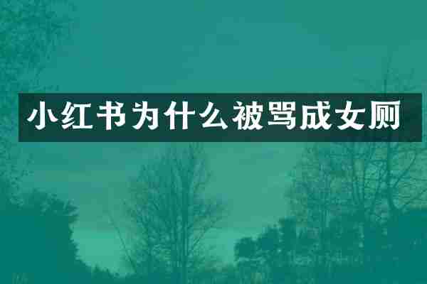 小红书为什么被骂成女厕