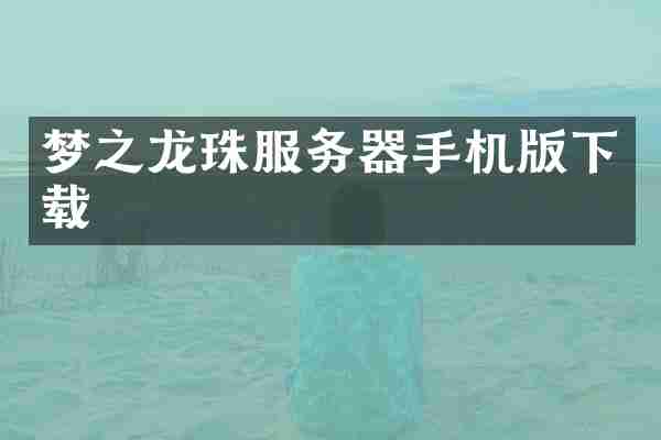 梦之龙珠服务器手机版下载