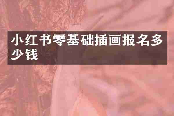 小红书零基础插画报名多少钱