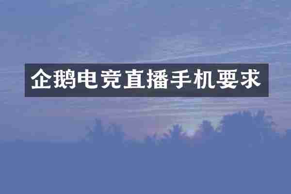 企鹅电竞直播手机要求