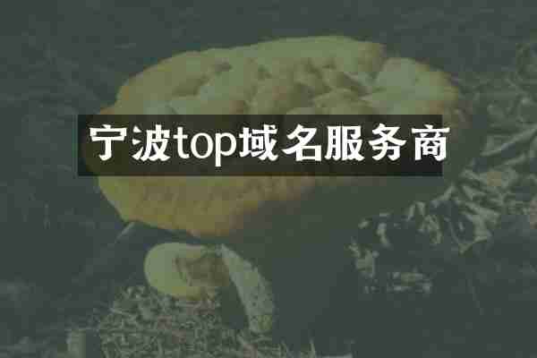 宁波top域名服务商