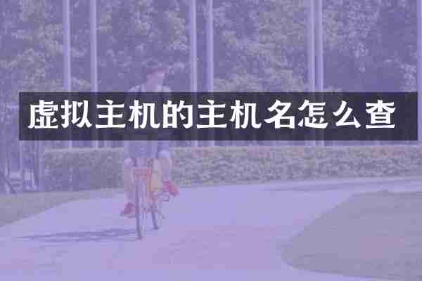 虚拟主机的主机名怎么查