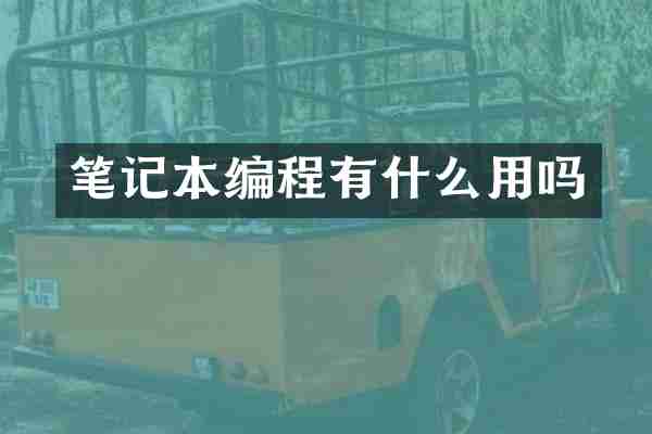 笔记本编程有什么用吗