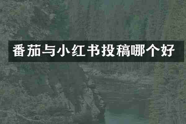 番茄与小红书投稿哪个好