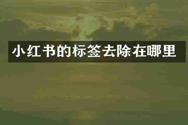小红书的标签去除在哪里
