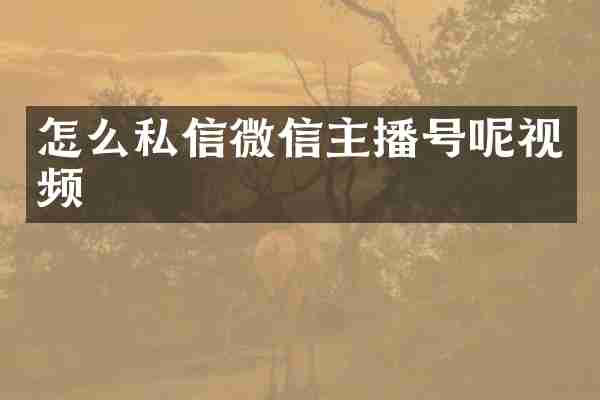 怎么私信微信主播号呢视频