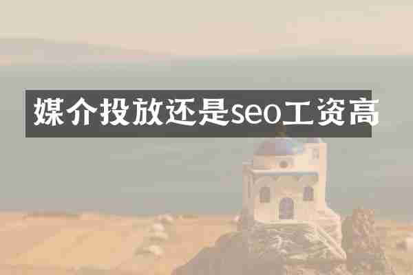 媒介投放还是seo工资高