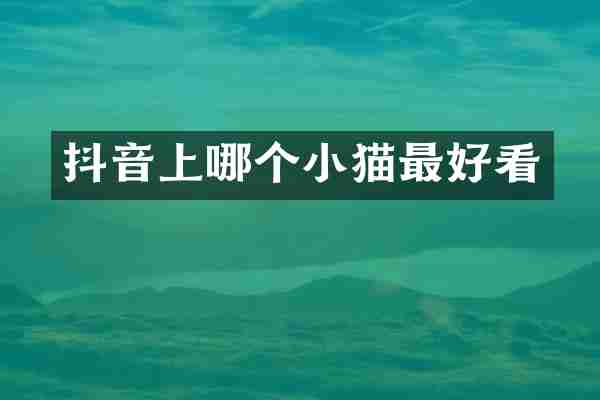 抖音上哪个小猫最好看