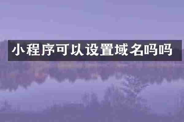 小程序可以设置域名吗吗