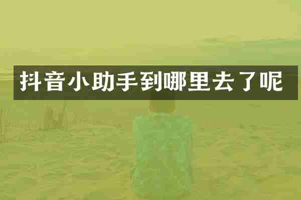 抖音小助手到哪里去了呢
