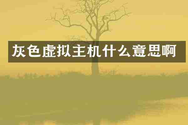 灰色虚拟主机什么意思啊