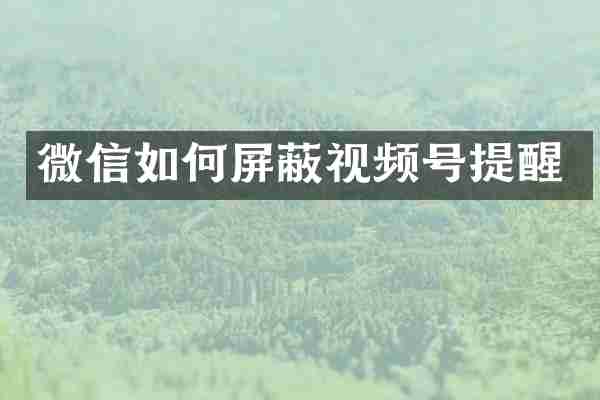 微信如何屏蔽视频号提醒