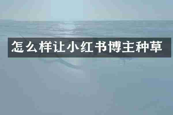 怎么样让小红书博主种草