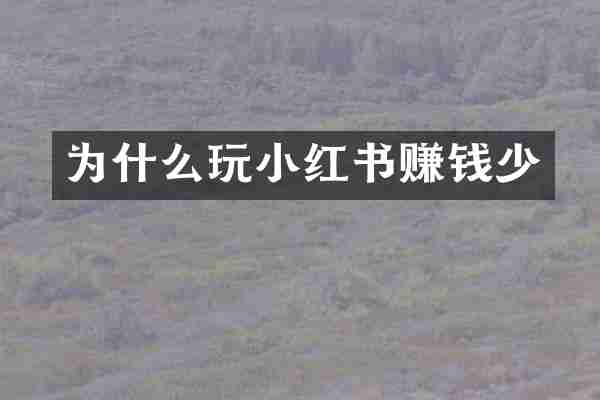 为什么玩小红书赚钱少