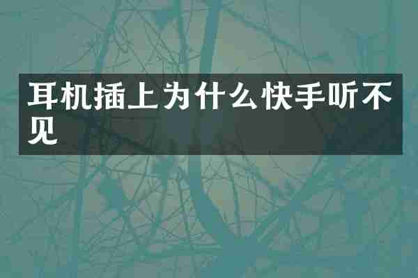 耳机插上为什么快手听不见