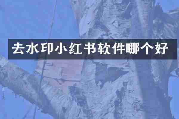 去水印小红书软件哪个好