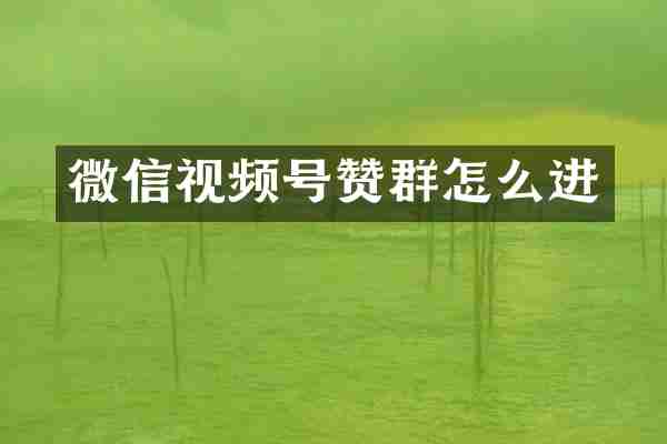 微信视频号赞群怎么进