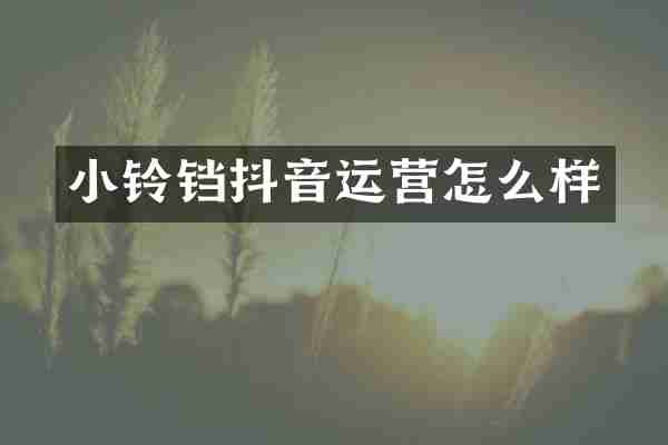 小铃铛抖音运营怎么样