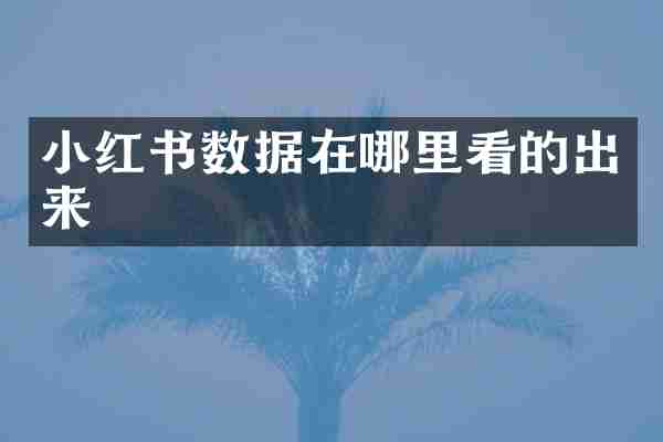 小红书数据在哪里看的出来