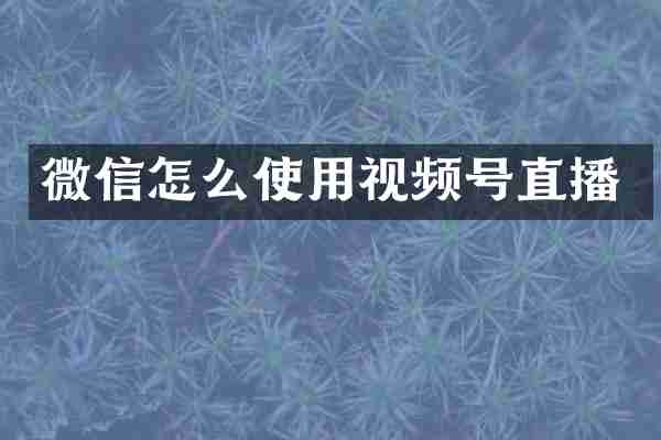 微信怎么使用视频号直播