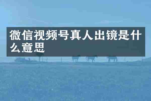 微信视频号真人出镜是什么意思