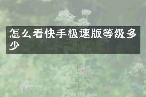 怎么看快手极速版等级多少